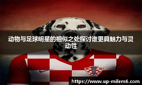 动物与足球明星的相似之处探讨谁更具魅力与灵动性